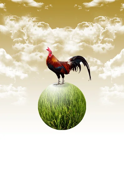 Chicken on the planet float in the air — Stock Photo, Image