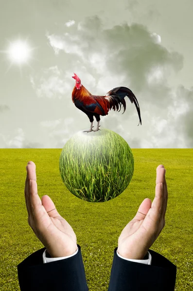 Geschäftsmann zeigt grünen Planeten mit Hühnchen, Bio-Bauernhof-Konzept — Stockfoto