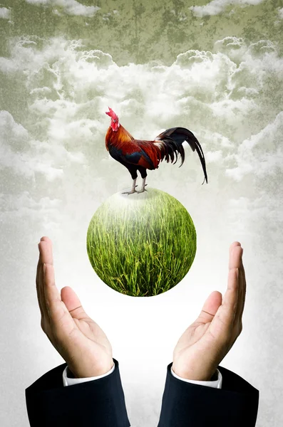 Businessman show the green planet with chicken, Organic farm concept — Stock Photo, Image