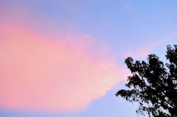 Schöne Bunte Wolken Mit Sonnenuntergang Lichteffekt Mit Silhouette Baum Vordergrund — Stockfoto