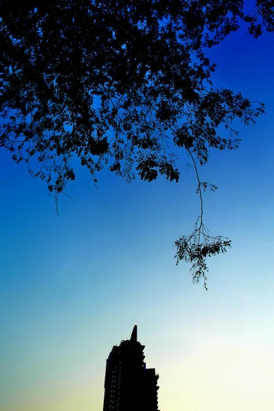 Abstrait Formes Sombres Silhouette Verrière Arbre Avec Silhouette Tour — Photo