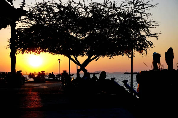 Silueta Gente Descansa Junto Árbol Mar Con Fondo Cielo Atardecer — Foto de Stock