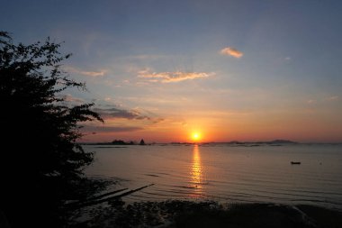 Denizde gün batımında ağaç tepe örtüsü ön planda