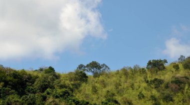 Orman dağda, bulutlar mavi arkaplanda.