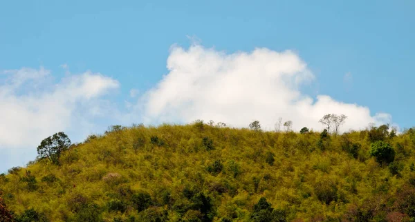 Bos Berg Met Wolken Blauwe Lucht Achtergrond — Stockfoto