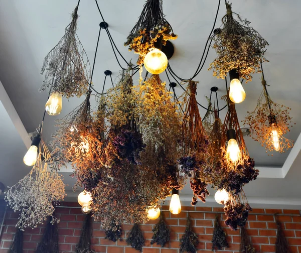 Dried Flower Decorate Lamp Ceiling Cafe Low Angle View — 스톡 사진