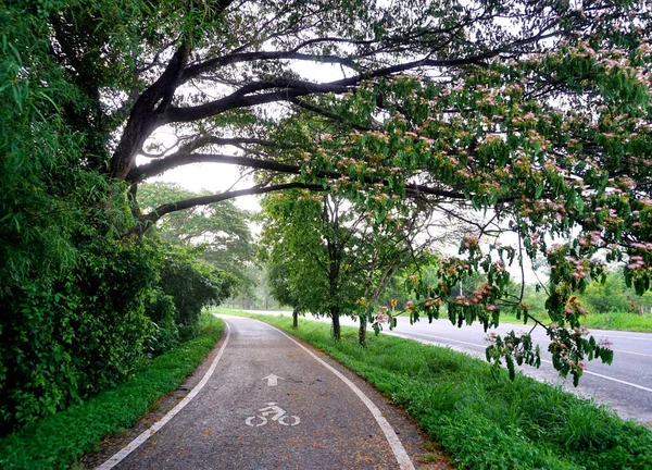 自転車レーンシンボル道路上の緑の領域の周り — ストック写真