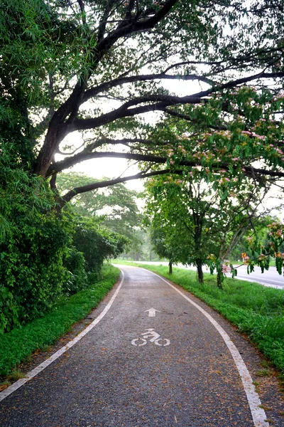 Cykelbana Symbol Väg Med Grönområde Runt — Stockfoto