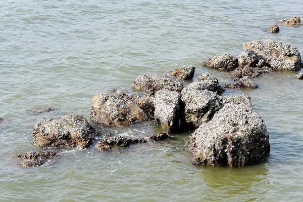 Kámen Moři Příroda Malebné Pozadí — Stock fotografie