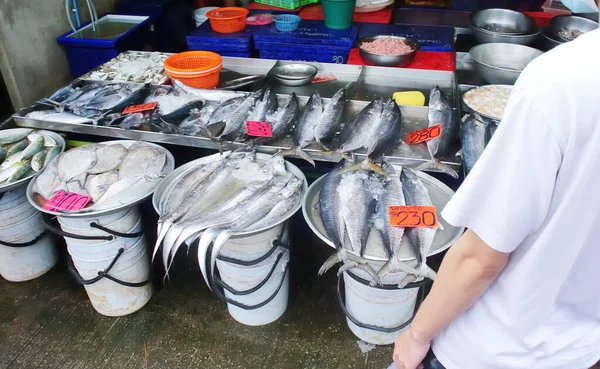 Chonburi Thailand May People Buy Fish Market May 2022 Siracha — Stok fotoğraf