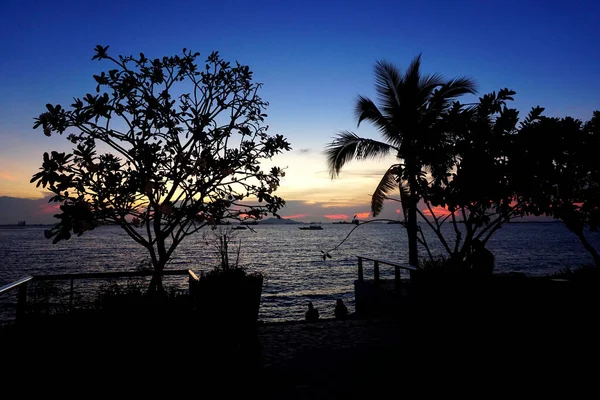 海で夕暮れの空と木のシルエット — ストック写真