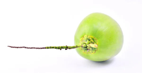 Groene Kokosnoot Fruit Geïsoleerd Witte Achtergrond — Stockfoto