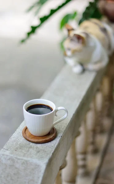家でコーヒー カップに焦点を当てた横に猫と手すりに熱いコーヒーカップ — ストック写真