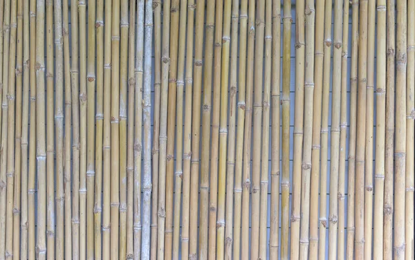 Фон Панелі Текстури Бамбука — стокове фото