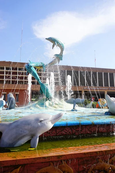 Chonburi Tajlandia Mar Rzeźba Delfina Fontanną Bangsaen Institute Marine Science — Zdjęcie stockowe