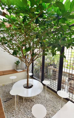 CHONBURI, THAILAND - 31 Mart 2022 'de, Tayland' ın Chonburi kentinde güzel bir iç mekan olan masa ortasındaki ağaç