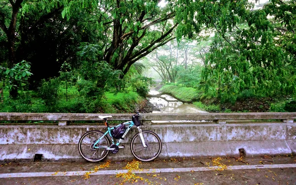Chonburi Thailand Março Estacionamento Bicicleta Montanha Ponte Lado Floresta Março — Fotografia de Stock