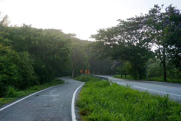 Piste Cyclable Côté Forêt Fond Sportif — Photo