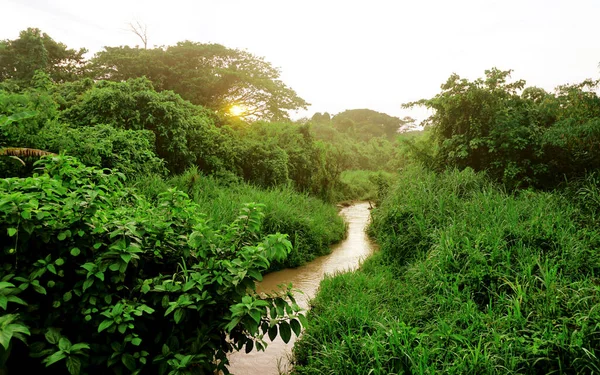 Rio Floresta Com Fundo Céu Por Sol — Fotografia de Stock