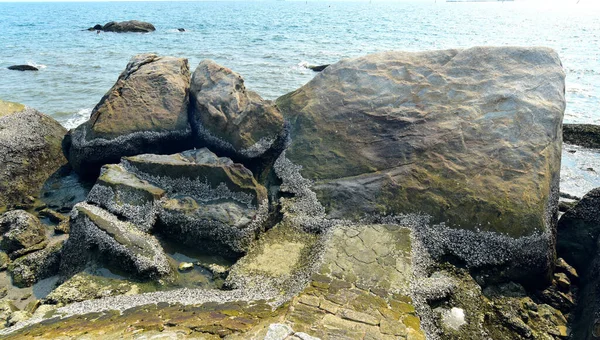 海滩上的大石头 大自然背景 — 图库照片