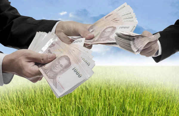 Businessman Offer Money Buy Rice Filed Land — Stock Photo, Image