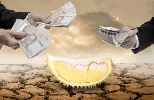 Empresario Compra Fruta Durian Hambruna — Foto de Stock