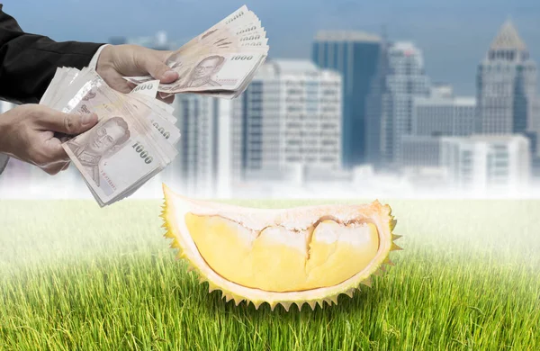 Empresario Ofrece Dinero Para Durian Frutas Tropicales Para Ciudad — Foto de Stock