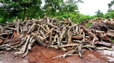 Yerde bir grup odun.