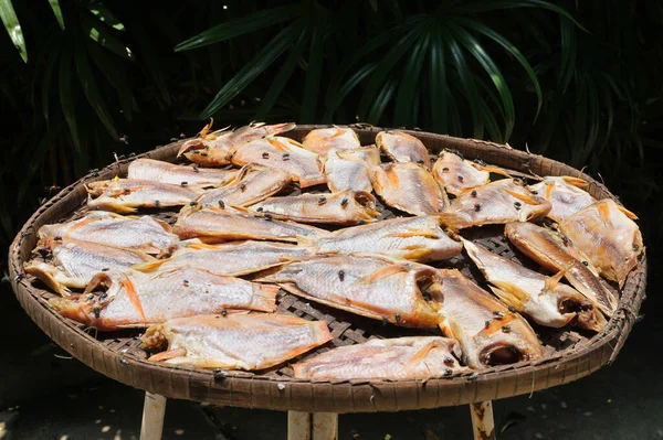 Gesalzener Und Getrockneter Fisch Mit Sonnenbad — Stockfoto