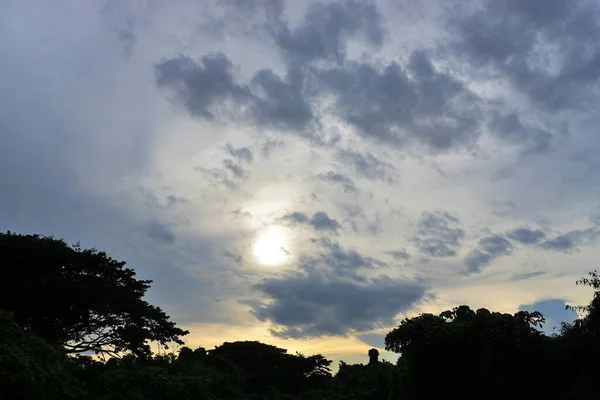 Sun Cloudy Sky Forest Silhouette — Photo