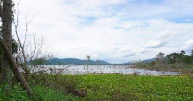 Water plant at reservoir with blue sky background