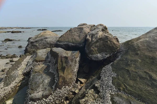 Gros Rocher Plage Fond Naturel — Photo