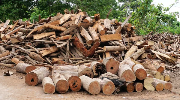 Group of wood on ground