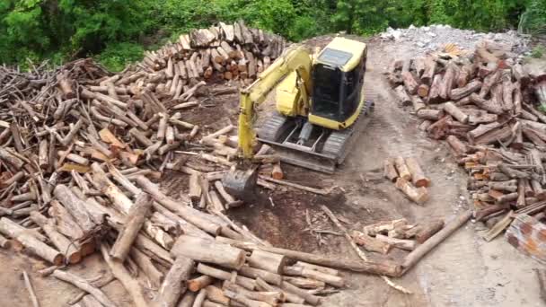 Chonburi Thailand Apr Excavator Move Log April 2022 Wat Khao — Stock Video