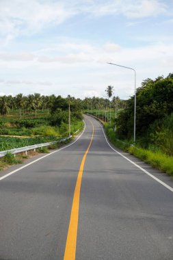 Doğa manzaralı güzel bir yol