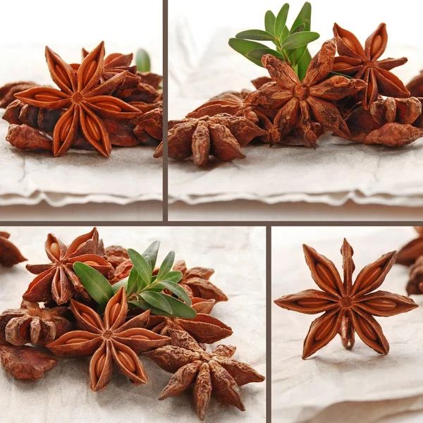 Anise star on the paper — Stock Photo, Image