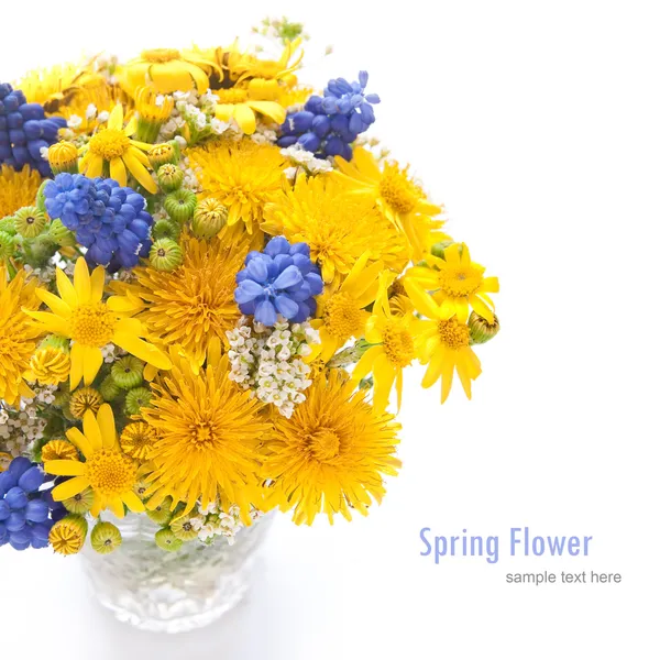 Flores de primavera con diente de león y muscari —  Fotos de Stock