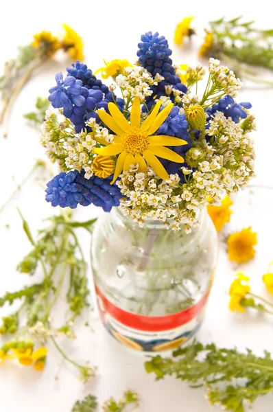 Vårblommor med maskros och muscari — Stockfoto