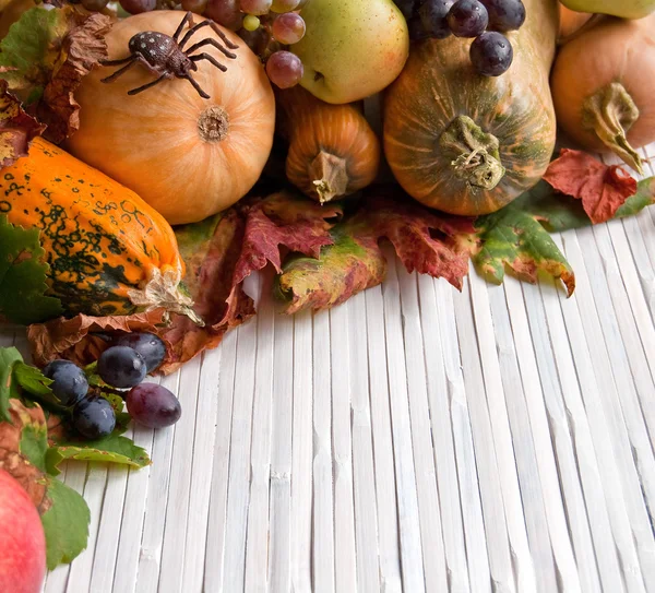 Calabazas de otoño — Foto de Stock