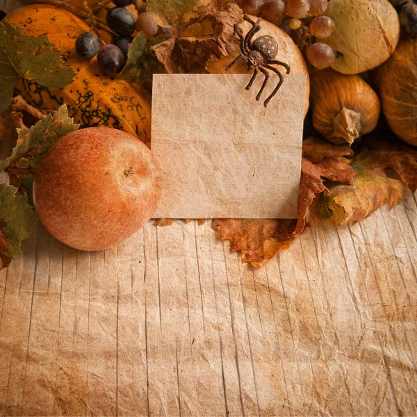Zucche d'autunno — Foto Stock
