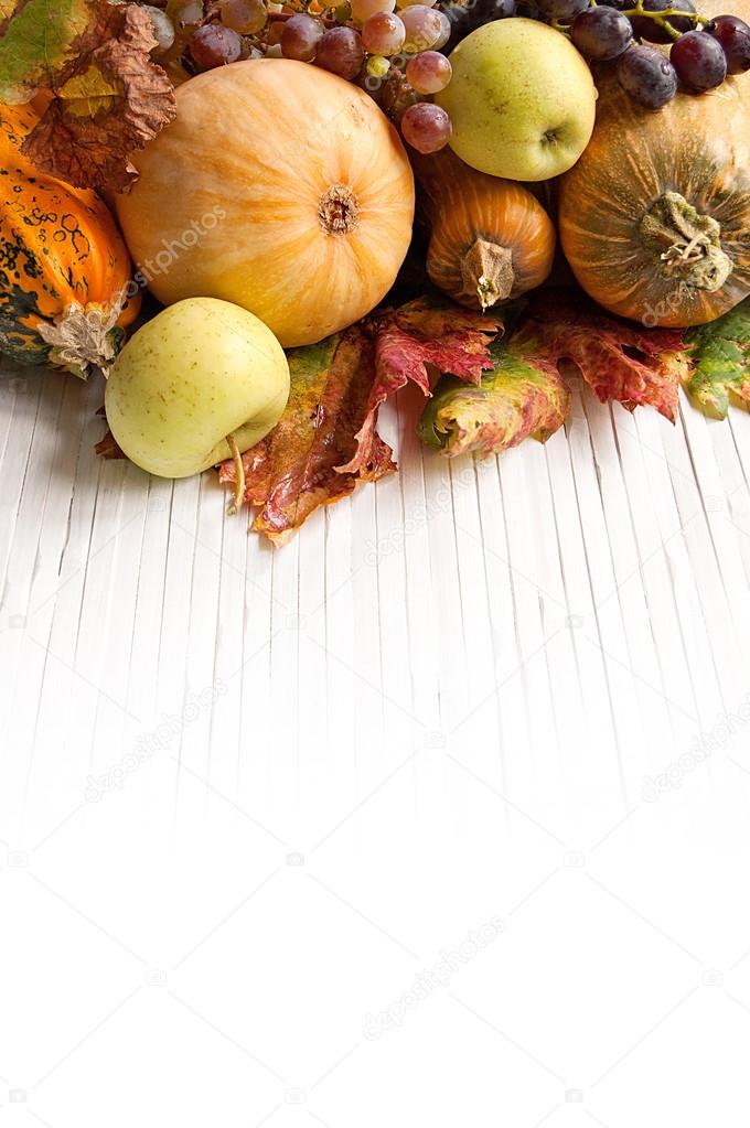 Composition of autumn pumpkins