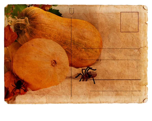Листівка з гарбузом на Хеллоуїн — стокове фото