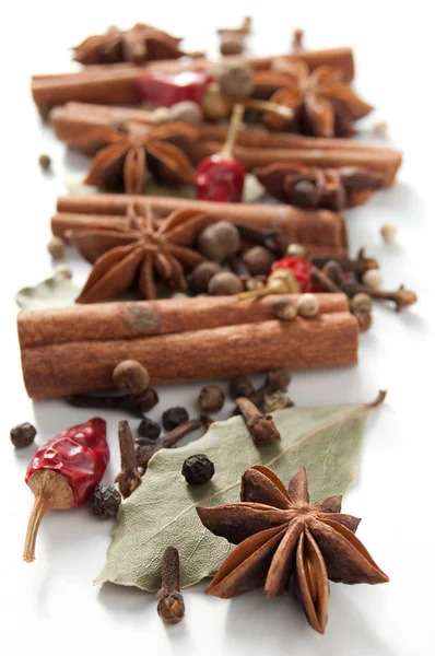 Palitos de canela y anís estrellado — Foto de Stock