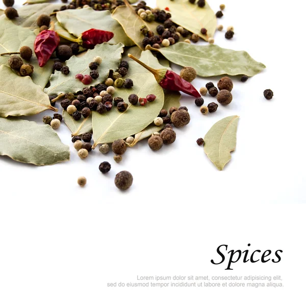 Spices — Stock Photo, Image