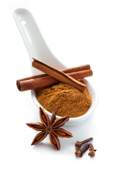 Cinnamon sticks and powder — Stock Photo, Image