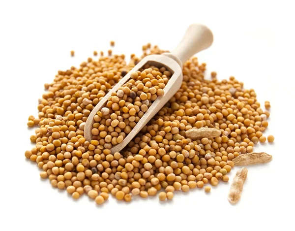 Mustard seeds — Stock Photo, Image