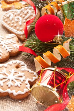 Zencefilli kurabiye.