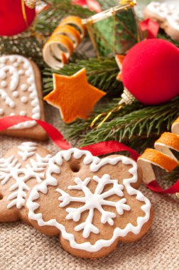 Zencefilli kurabiye.