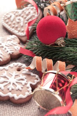 Zencefilli kurabiye.