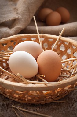 organik yumurta